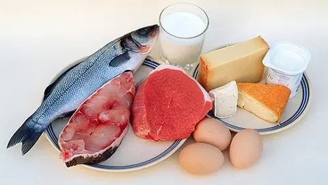 proteina-de-origen-animal